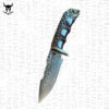 Premium Quality VG10 Damascus Steel Viking Knife